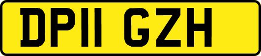 DP11GZH