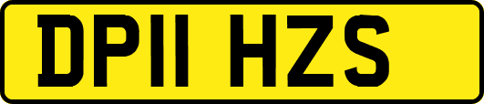 DP11HZS