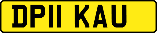 DP11KAU