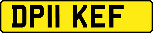 DP11KEF