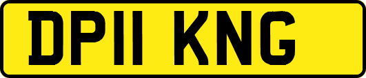 DP11KNG