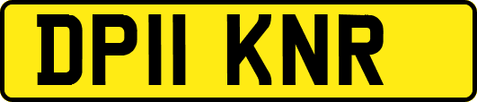 DP11KNR