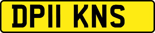 DP11KNS