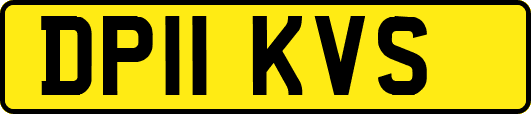 DP11KVS