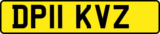 DP11KVZ
