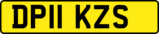 DP11KZS