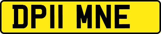 DP11MNE
