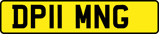 DP11MNG
