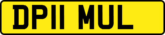 DP11MUL