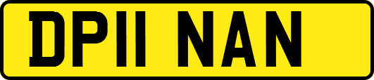 DP11NAN