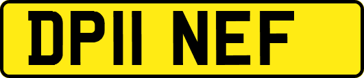 DP11NEF