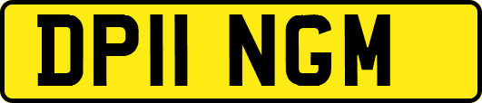 DP11NGM