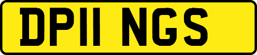 DP11NGS