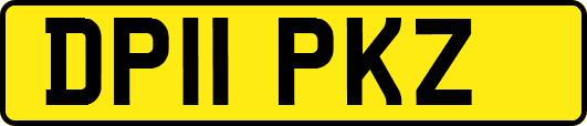 DP11PKZ