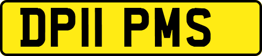 DP11PMS