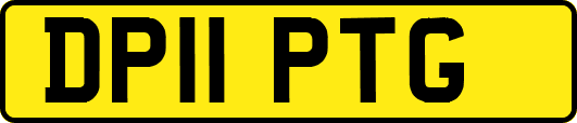 DP11PTG