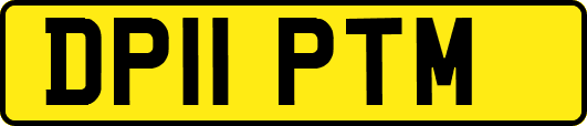 DP11PTM