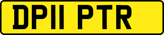 DP11PTR
