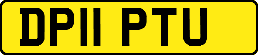 DP11PTU