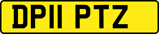 DP11PTZ
