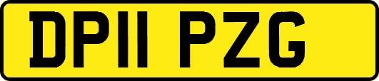 DP11PZG