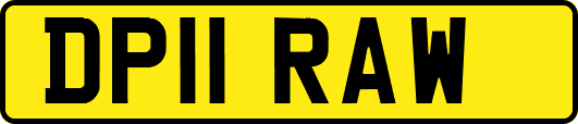 DP11RAW