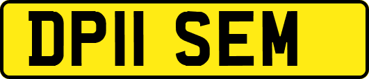 DP11SEM