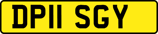 DP11SGY