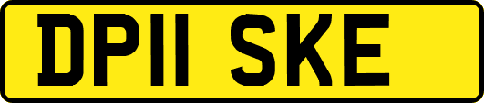 DP11SKE