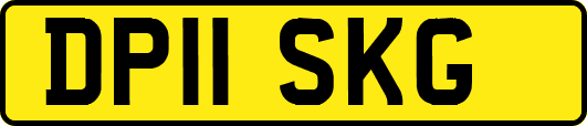 DP11SKG