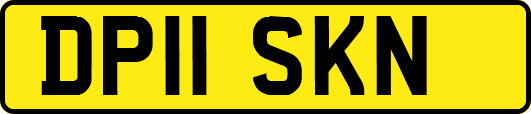 DP11SKN