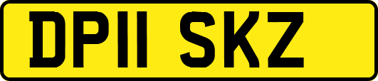 DP11SKZ