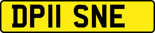 DP11SNE