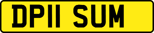DP11SUM