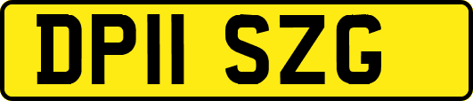 DP11SZG
