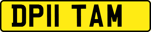 DP11TAM