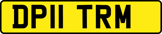 DP11TRM