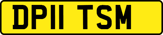 DP11TSM