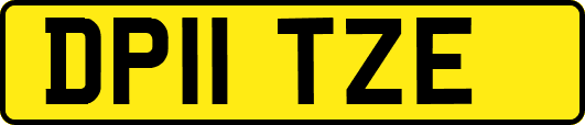 DP11TZE