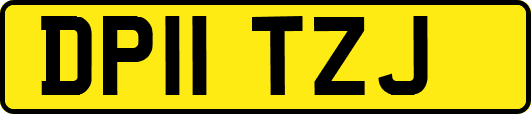 DP11TZJ
