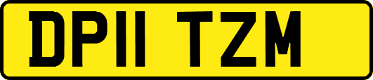 DP11TZM