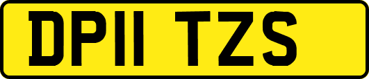 DP11TZS
