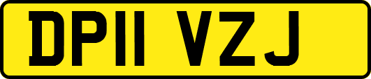 DP11VZJ