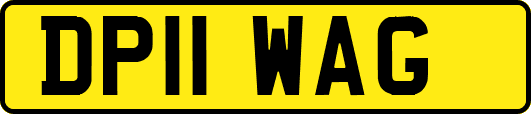 DP11WAG