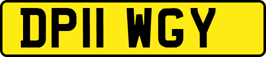 DP11WGY