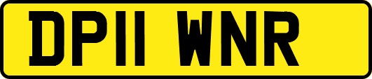 DP11WNR