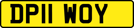 DP11WOY