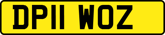 DP11WOZ