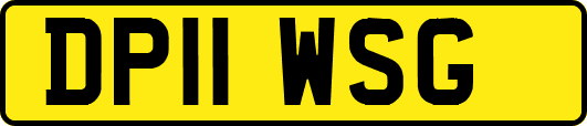 DP11WSG