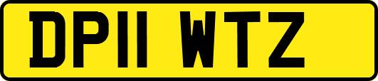 DP11WTZ